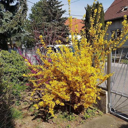 Garden Apartment Donau-City Viena Exterior foto